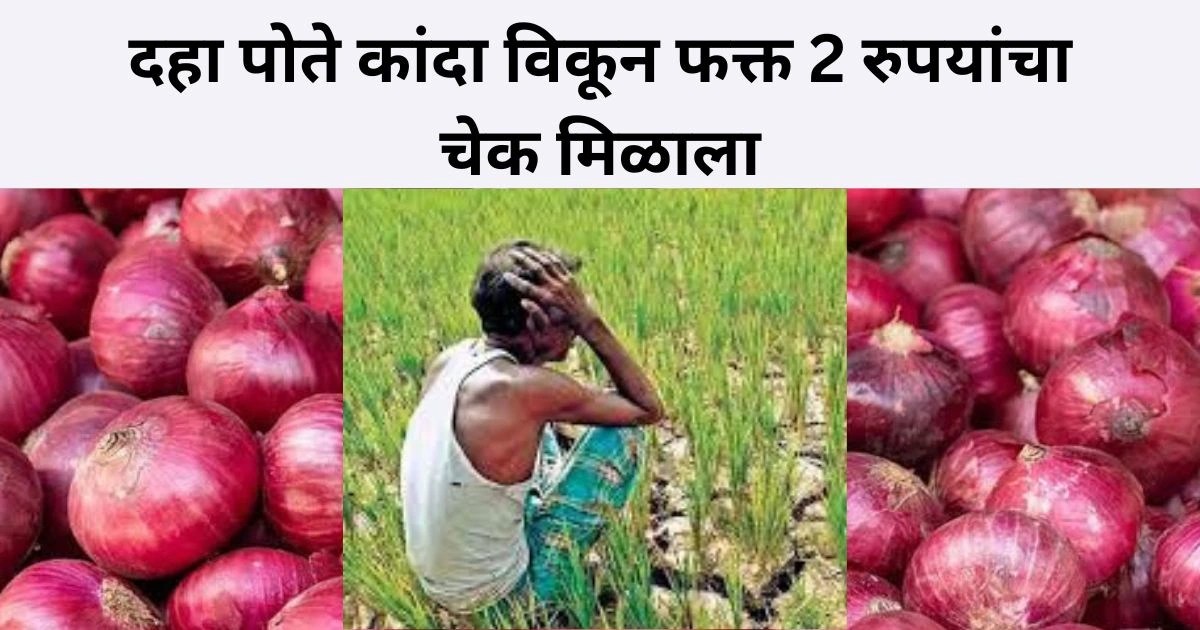 शेतकऱ्याला दहा पोते कांदा विकून फक्त 2 रुपयांचा चेक मिळाला; या कांदा उत्पादक शेतकऱ्याची सर्वत्र चर्चा | Onion Farmer
