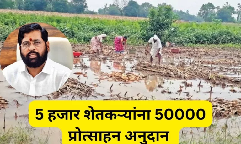 Niyamit Karjmafi 50000 Anudan: 5 हजार शेतकऱ्यांना 50000 प्रोत्साहन अंतर्गत 26 कोटी रुपयांचा लाभ
