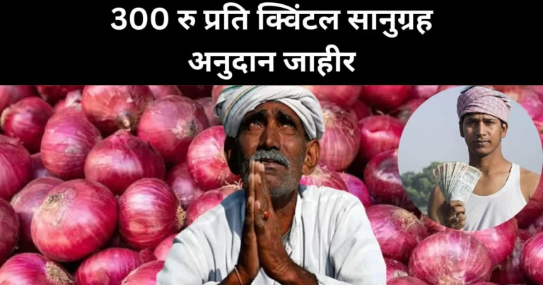 कांदा उत्पादक शेतकऱ्यांना खुशखबर! 300 रु प्रति क्विंटल सानुग्रह अनुदान जाहीर | Kanda Anudan