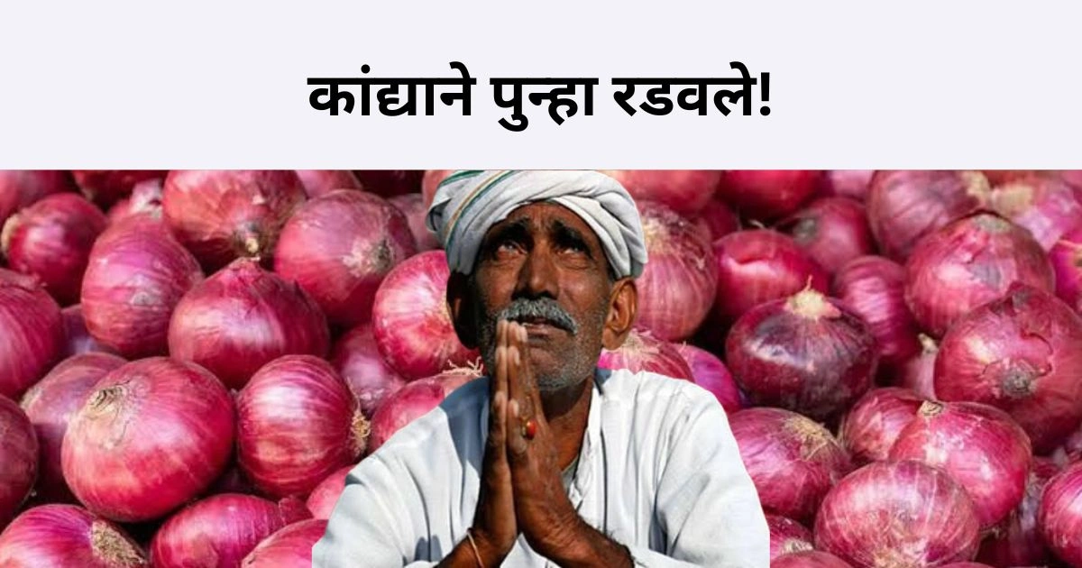 8 क्विंटल 44 किलो कांदा विकून केवळ 1 रुपया मिळाला! 1 लाख रुपये खर्च केला आणि मिळाला फक्त 1 रुपया; कांद्याने पुन्हा रडवले | Onion Price Drop
