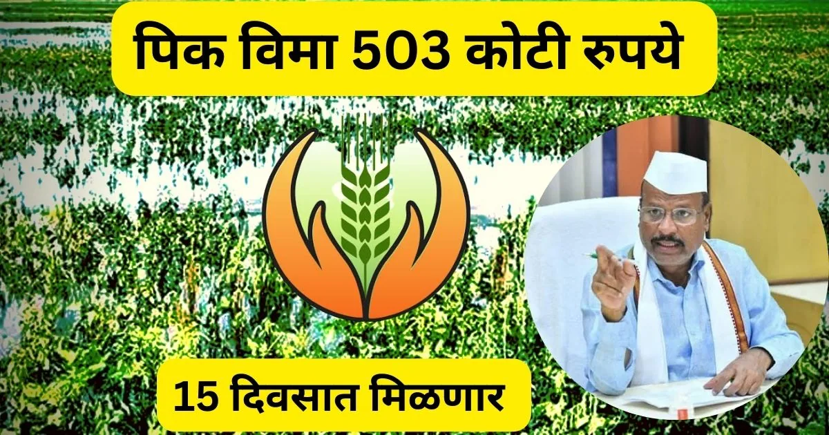 Crop Insurance: महत्वाची घोषणा, पिक विम्याचे प्रलंबित 500 कोटी रुपये 15 दिवसात शेतकऱ्यांना मिळणार, कृषी मंत्री अब्दुल सत्तार