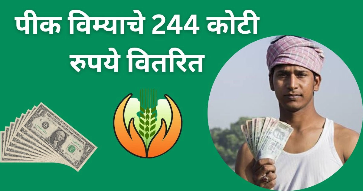 या शेतकऱ्यांसाठी खरीप पीक विम्याचे 244 कोटी रुपये वितरित; शासन निर्णय जाहीर; लगेच पहा पात्र शेतकऱ्यांची नावे | Kharip Pik Vima