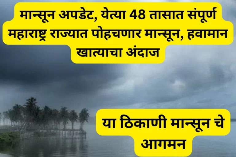 Mansoon Update: मान्सून अपडेट, येत्या 48 तासात संपूर्ण महाराष्ट्र राज्यात पोहचणार मान्सून, हवामान खात्याचा अंदाज
