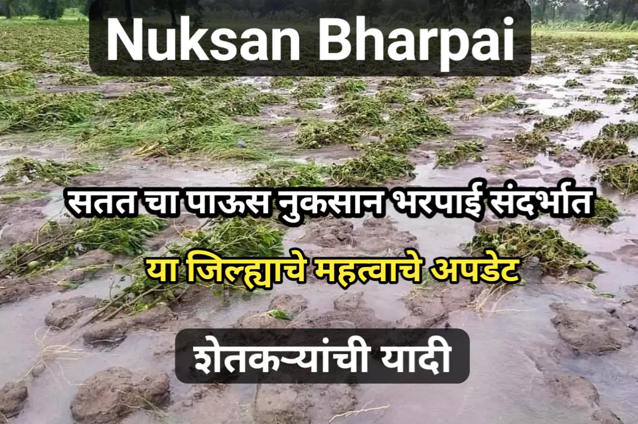 Nuksan Bharpai: सतत चा पाऊस नुकसान भरपाई संदर्भात या जिल्ह्याचे महत्वाचे अपडेट, शेतकऱ्यांची यादी