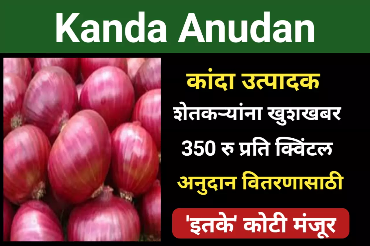 Kanda Anudan: कांदा उत्पादक शेतकऱ्यांना खुशखबर, 350 रु प्रति क्विंटल अनुदान वितरणासाठी 'इतके' कोटी मंजूर