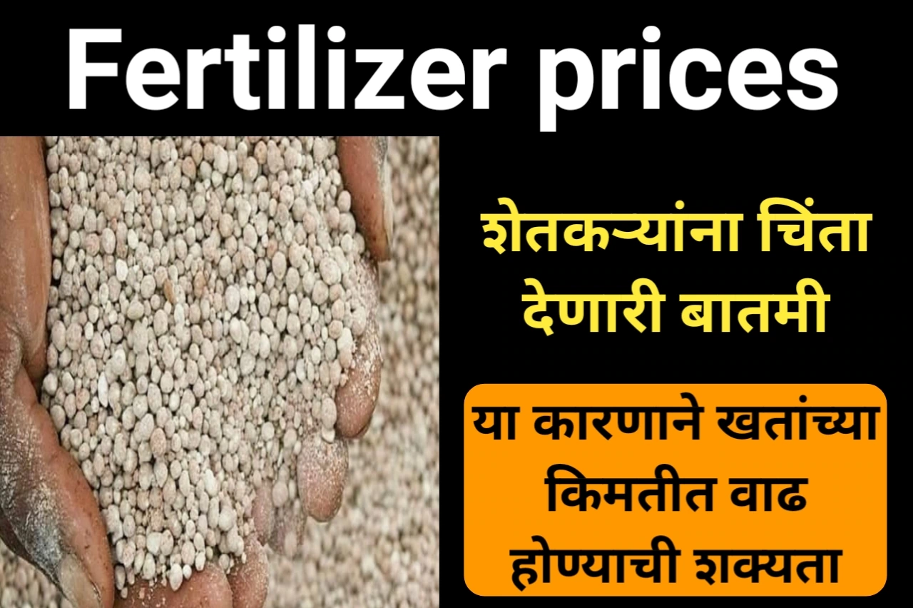 Fertilizer prices : शेतकऱ्यांना चिंता देणारी बातमी, या कारणाने खतांच्या किमतीत वाढ होण्याची शक्यता