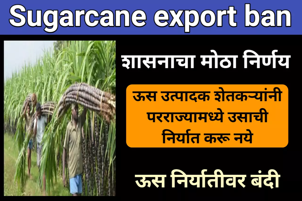 Sugarcane export ban: शासनाचा मोठा निर्णय, ऊस उत्पादक शेतकऱ्यांनी परराज्यामध्ये उसाची निर्यात करू नये, ऊस निर्यातीवर बंदी
