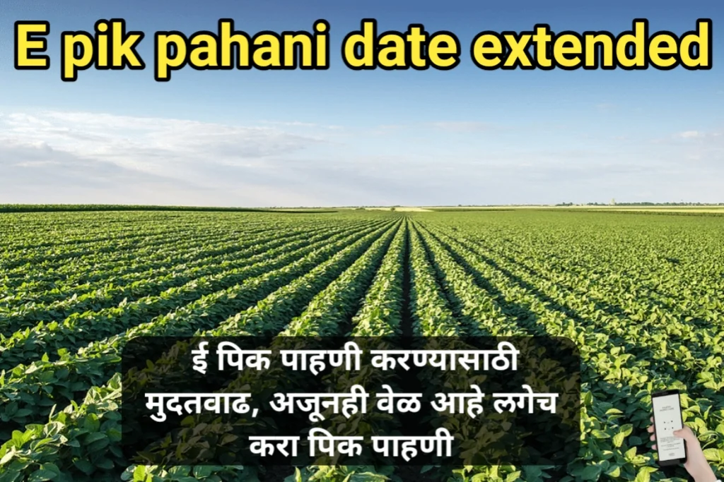 E pik pahani date extended: ई पिक पाहणी करण्यासाठी मुदतवाढ, अजूनही वेळ आहे लगेच करा पिक पाहणी